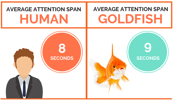 humanvsgoldfishspan